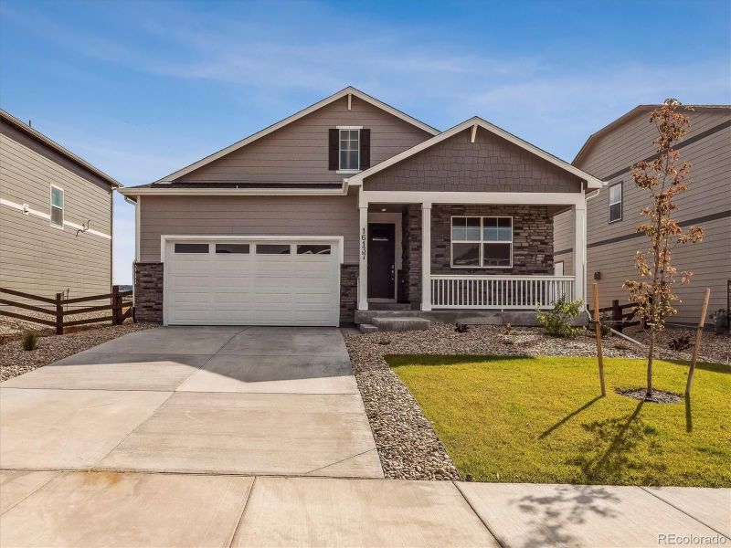 18359 Field Mint Point, Parker, CO 80134