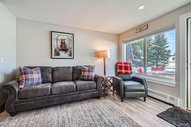 414 Tenderfoot St #11, Dillon, CO 80435
