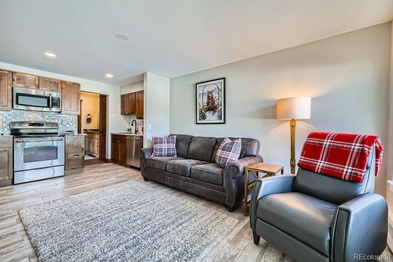 414 Tenderfoot St #11, Dillon, CO 80435