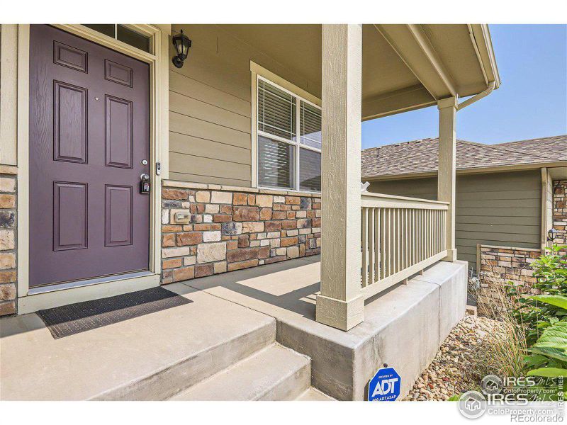 2264 Stonefish Dr, Windsor, CO 80550