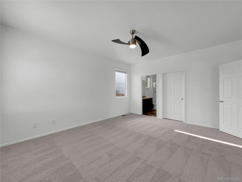 919 Birchdale Ct, Windsor, CO 80550