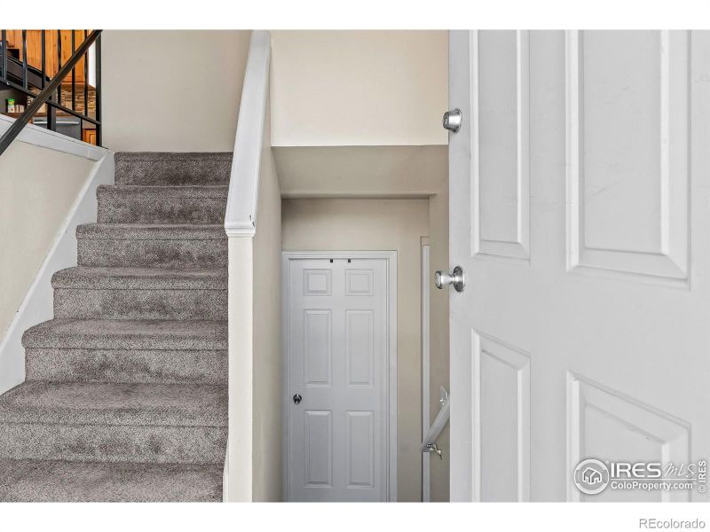 8112 Mummy Range Dr, Fort Collins, CO 80528