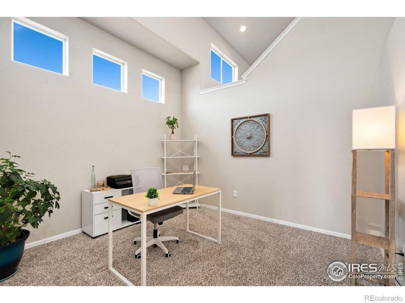 2055 Blue Moon Ct, Windsor, CO 80550