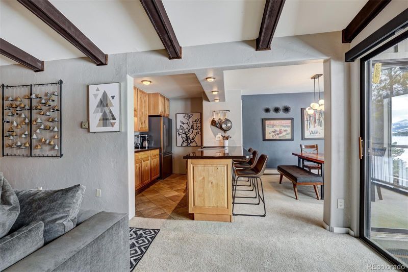 176 E La Bonte St #307, Dillon, CO 80435