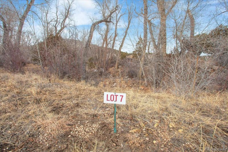 17198 Willow Tree Dr Lot 7, Salida, CO 81201