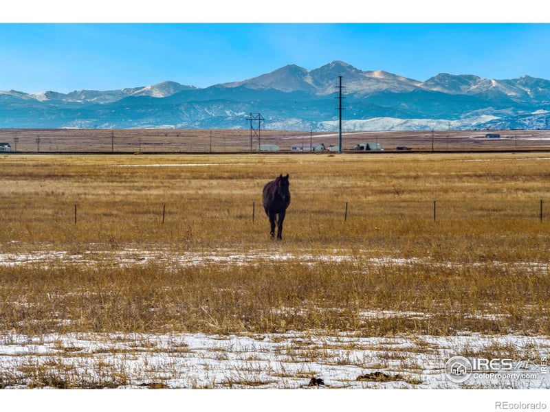 0 Weld County Road 104, Nunn, CO 80648
