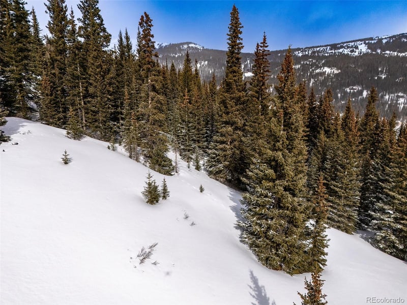 1307 Roberts Rd Lot 10, Alma, CO 80420