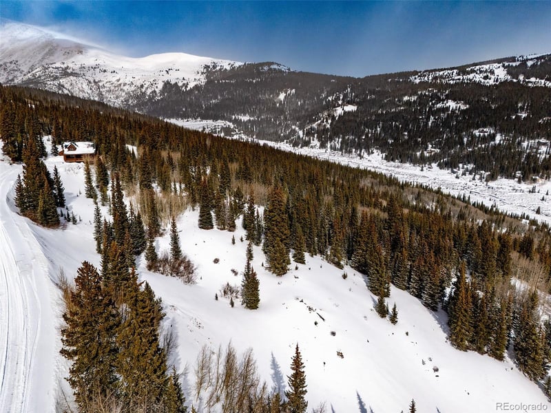 1307 Roberts Rd Lot 10, Alma, CO 80420