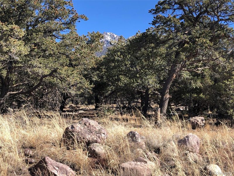 525 Moonlight Way, Crestone, CO 81131