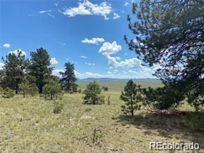 252 Angus Cir Lot 988, Hartsel, CO 80449
