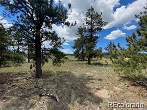 322 Angus Cir Lot 987, Hartsel, CO 80449