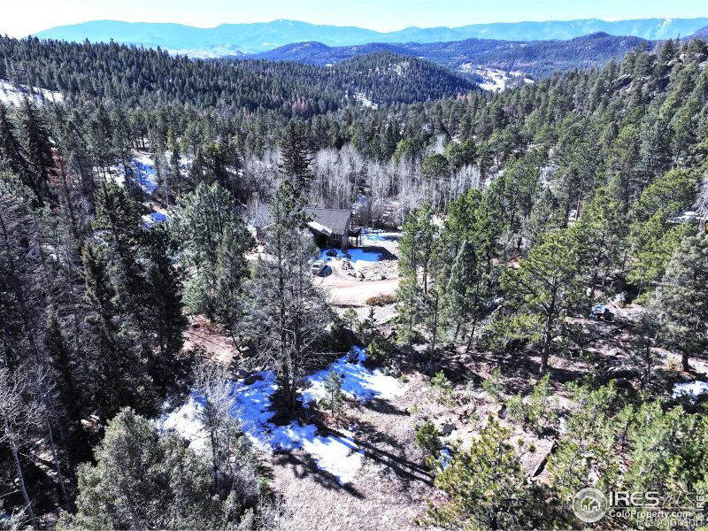 30929 Bear Cub Trl, Conifer, CO 80433