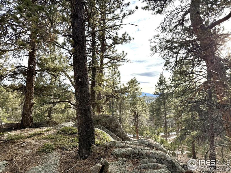 30929 Bear Cub Trl, Conifer, CO 80433