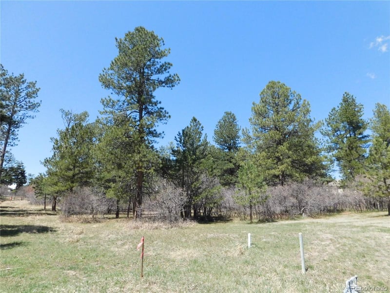 7347 Fremont Pl, Larkspur, CO 80118