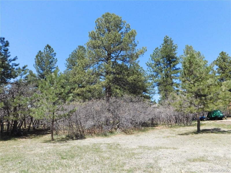 7347 Fremont Pl, Larkspur, CO 80118