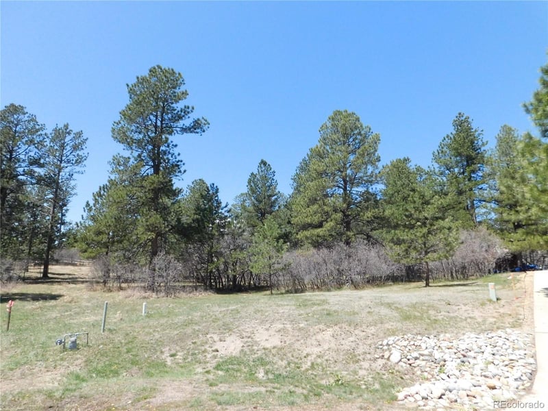 7347 Fremont Pl, Larkspur, CO 80118