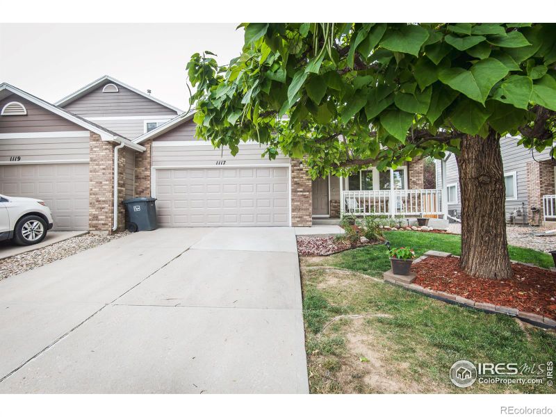 1117 Lavender Ave, Loveland, CO 80537