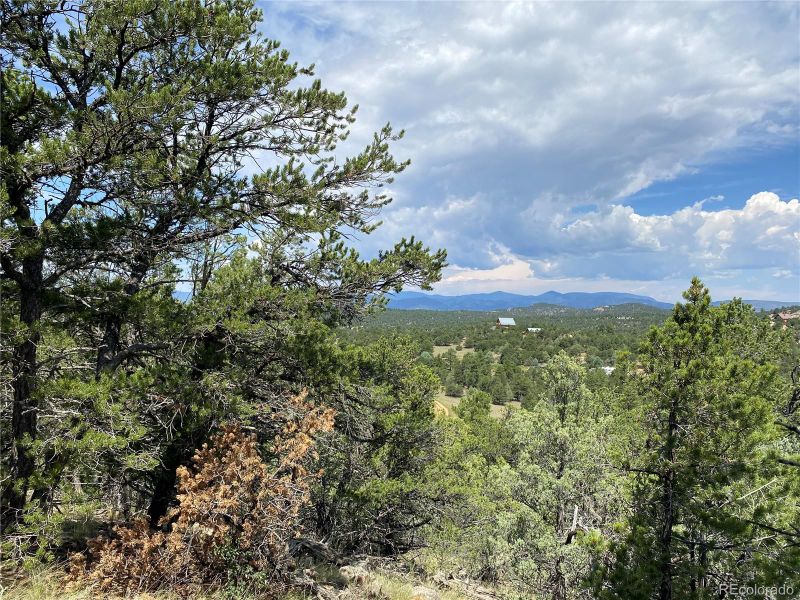236 Marion Ln Lot 63, Cotopaxi, CO 81223