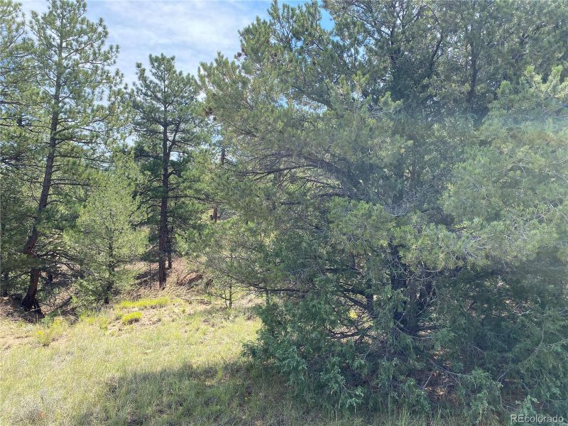 236 Marion Ln Lot 63, Cotopaxi, CO 81223