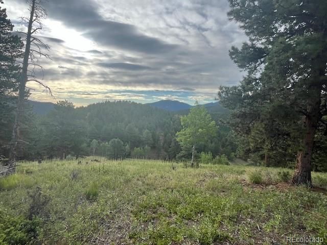 Tc Rd 7, Idaho Springs, CO 80452