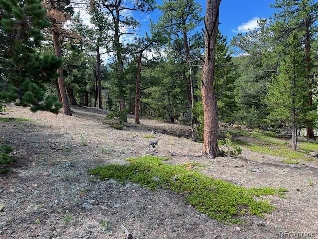 Tc Rd 7, Idaho Springs, CO 80452