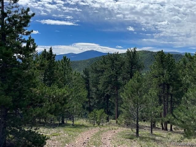 Tc Rd 7, Idaho Springs, CO 80452