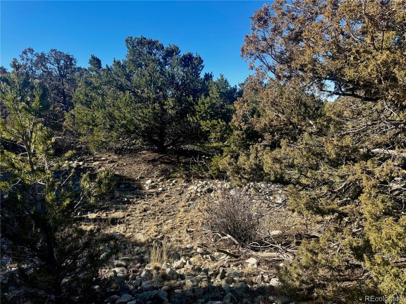 0 Moki Pl, Mosca, CO 81146