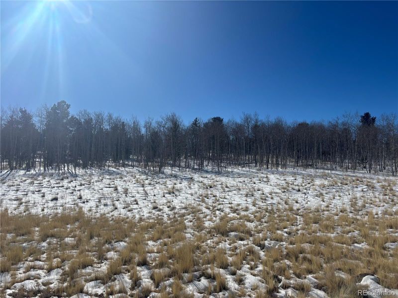 2312 Mcdowell Dr, Jefferson, CO 80456