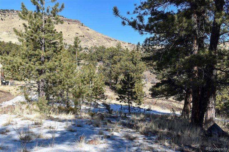30 Wagon Wheel Cir, Guffey, CO 80820