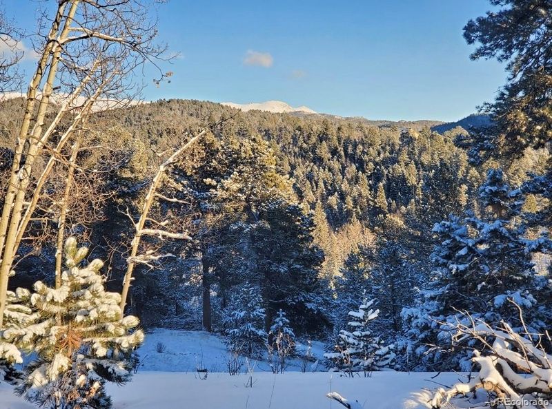 2642 Yorktown Rd, Cripple Creek, CO 80813