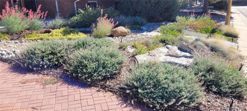 10902 Bannock St, Northglenn, CO 80234