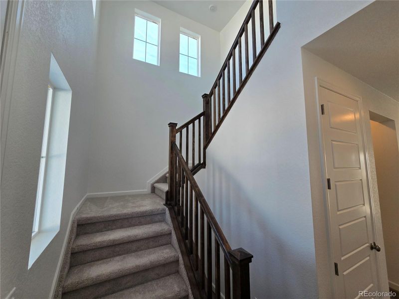 8820 Whiteclover St, Littleton, CO 80125