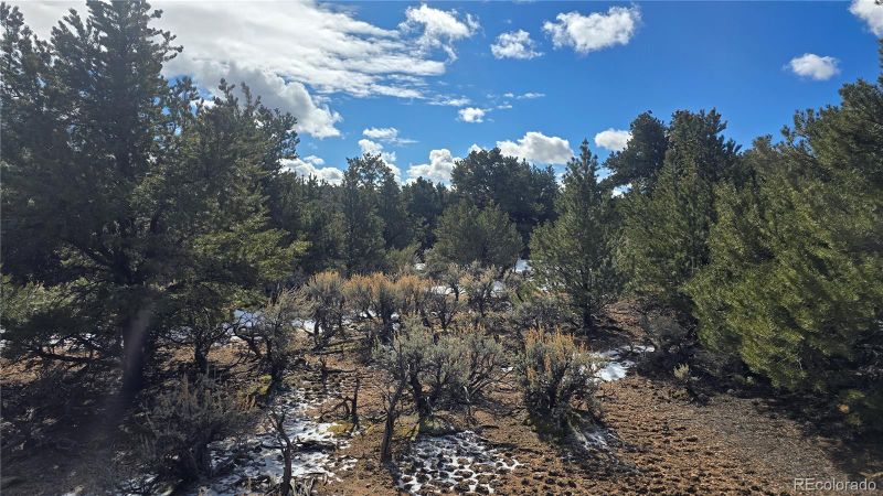 Lot 421 Sabine Rd, Fort Garland, CO 81133