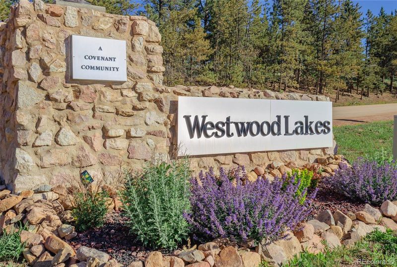 288 Piney Point Ln, Woodland Park, CO 80863