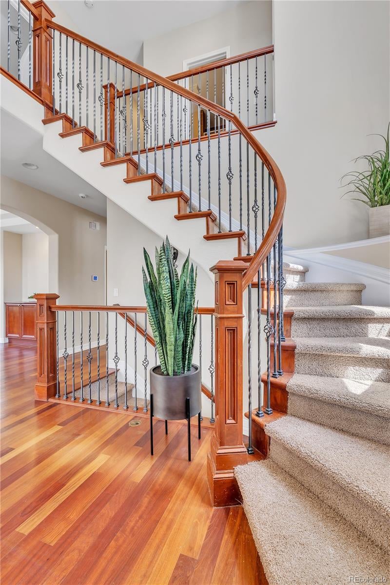 8053 E Maple Ave, Denver, CO 80230