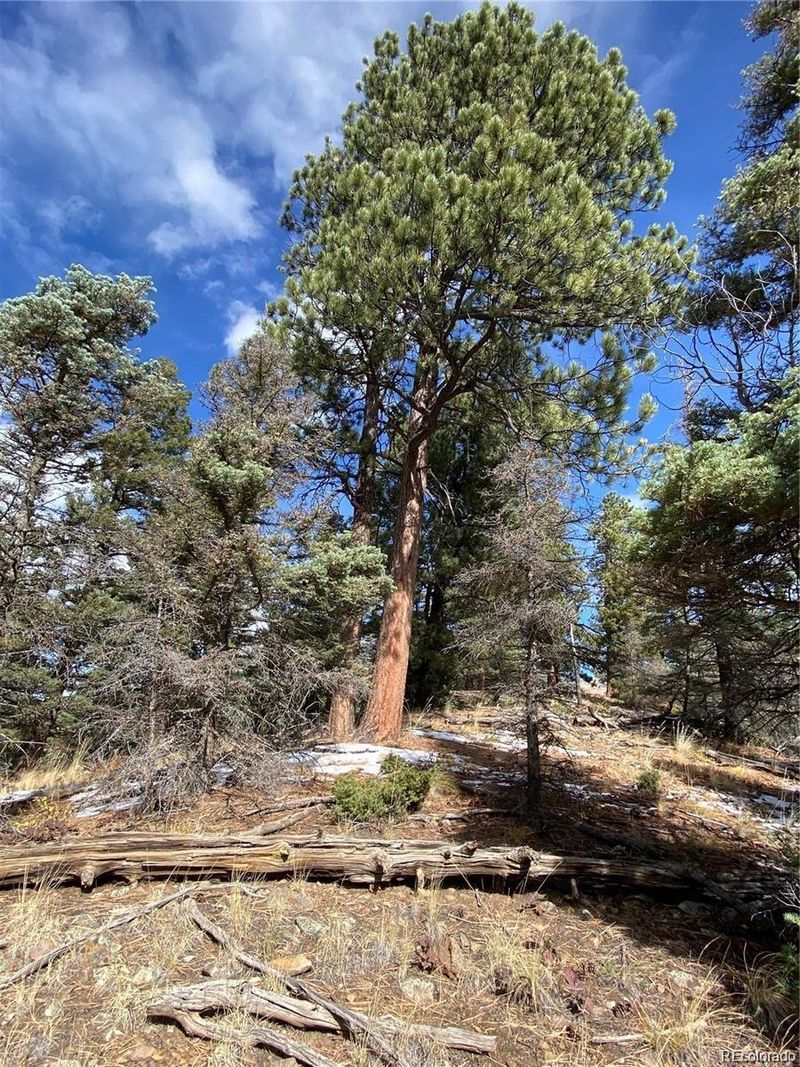 109 - 171 Ferris Pl Lot 109 & 171, Fort Garland, CO 81133
