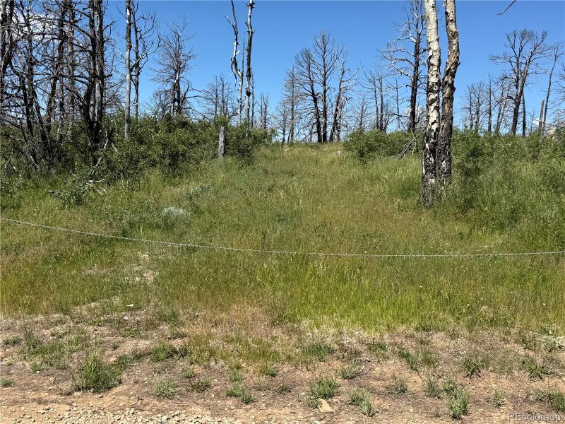416 Spangle Dr Lot 416, Fort Garland, CO 81133