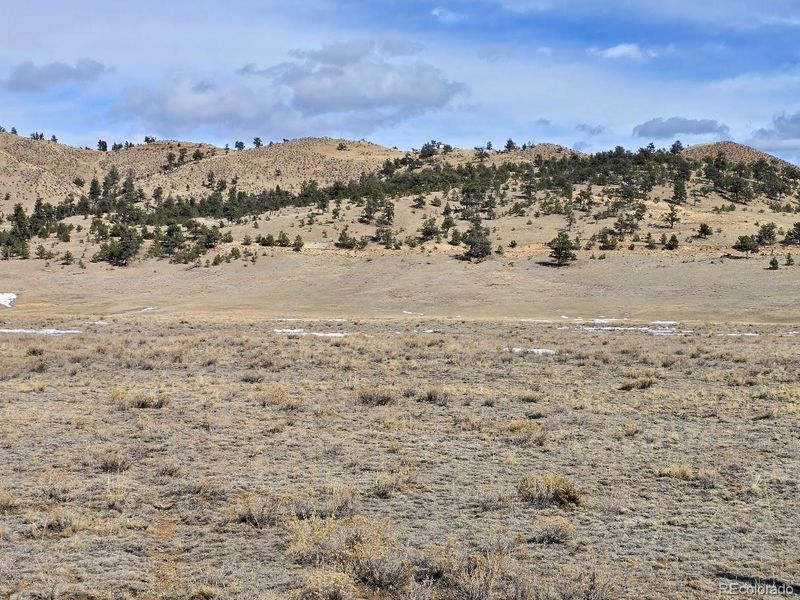 857 S Muley Gulch Dr, Hartsel, CO 80449