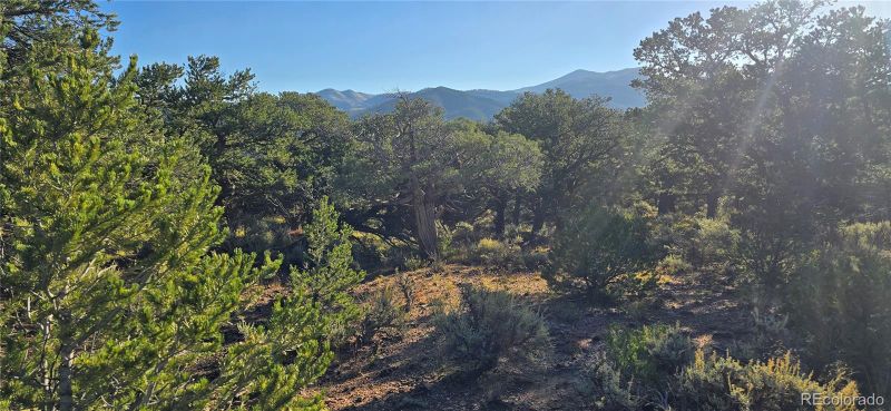 Lot 7381 Platten Rd, Fort Garland, CO 81133