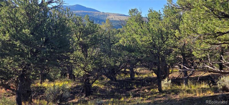 Lot 7381 Platten Rd, Fort Garland, CO 81133