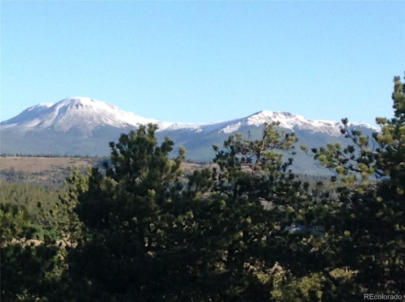 3480 Singletree Rd, Hartsel, CO 80449