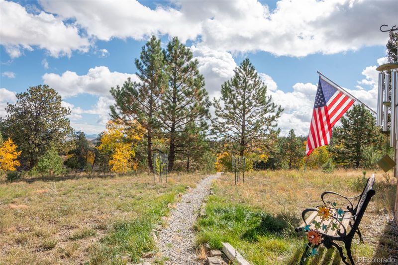 3480 Singletree Rd, Hartsel, CO 80449