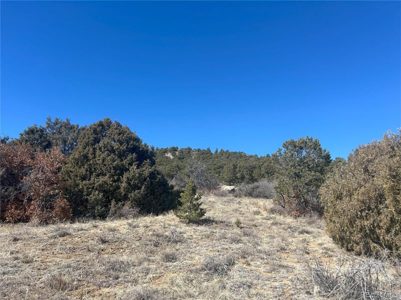 000 Bird Point Dr, Cotopaxi, CO 81223