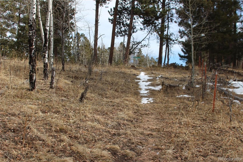 000 Richmond Hill Rd, Conifer, CO 80433