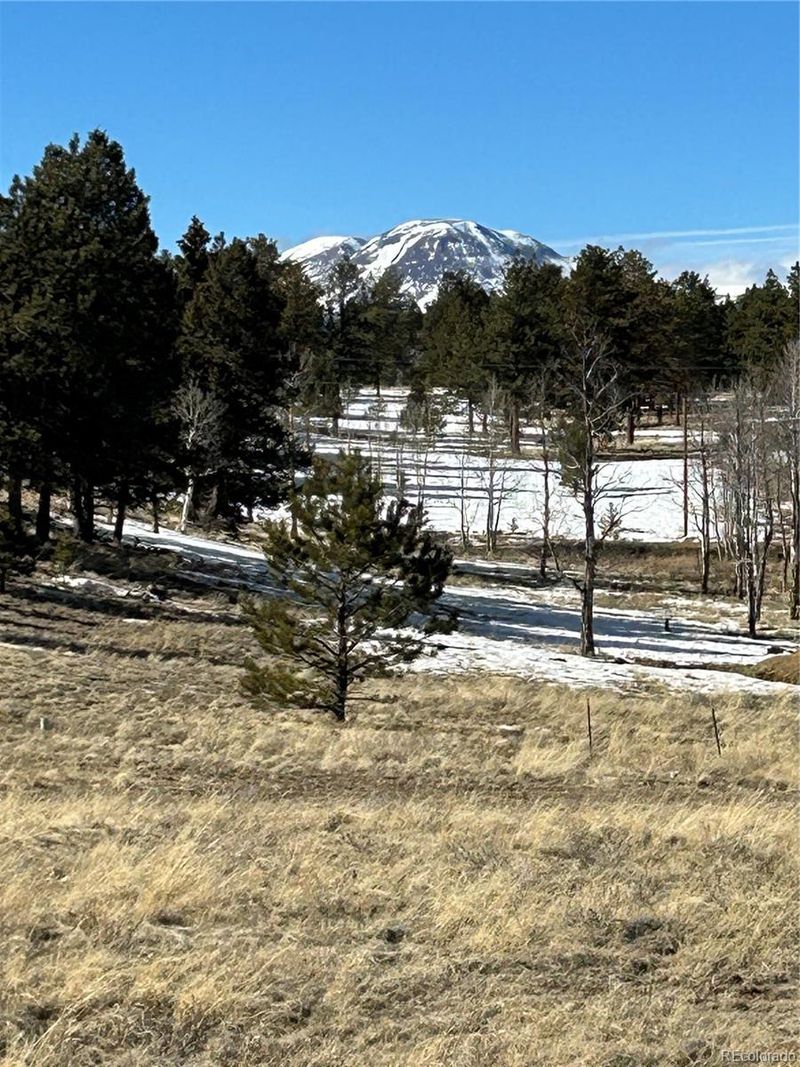 2196 Singletree Rd Lot 1307, Hartsel, CO 80449