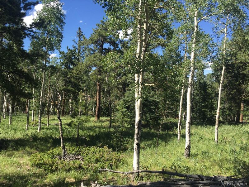 2196 Singletree Rd Lot 1307, Hartsel, CO 80449