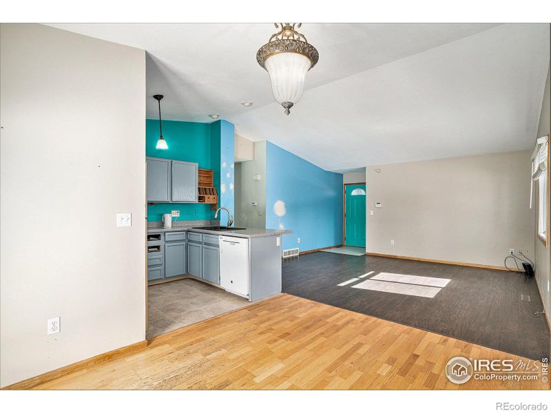 17 Orchid Ct, Windsor, CO 80550