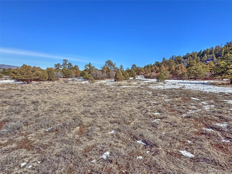 534 Aspen Trail Rd, Westcliffe, CO 81252