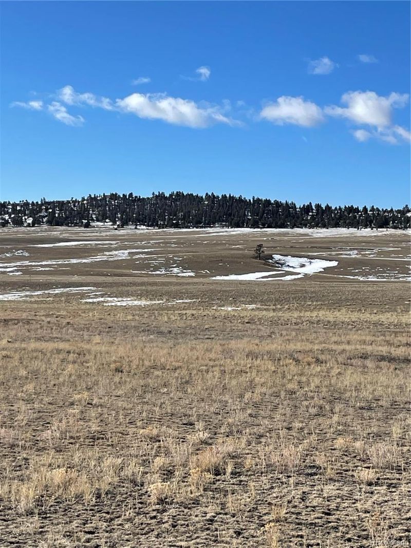 1260 Goldenburg Canyon Rd, Hartsel, CO 80449