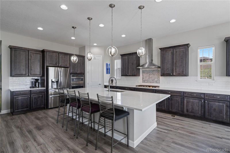 5290 Silver Hare Ct, Castle Rock, CO 80104